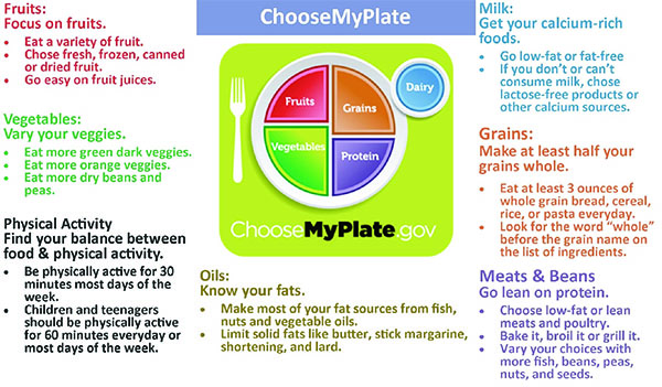 A Balanced Diet Plate Images Free