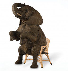 STRESS THE ELEPHANT IN THE ROOM