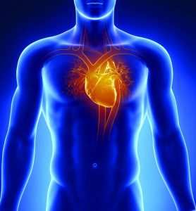 Cardio Vascular Health