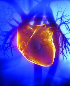 your Cholesterol Numbers