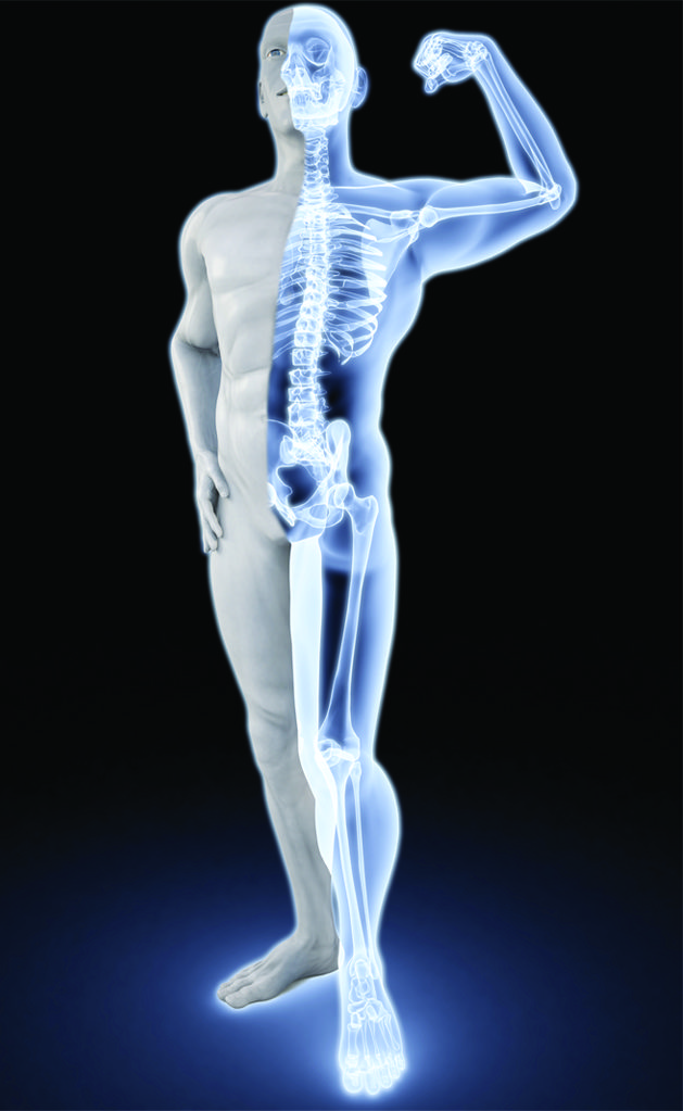 Dexa Gold Standard In Determining Bone Density • Southwest Floridas