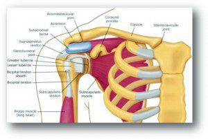 Don’t Let Shoulder Pain Hold You Back. 