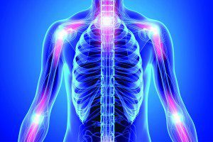 Physical Therapy Essential to Treatment of Joint Injury or Surgery