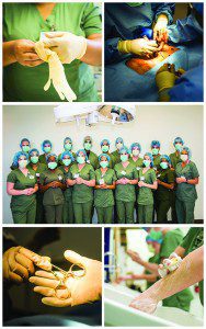 What is a Surgical Technologist