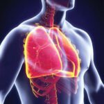 Understanding COPD