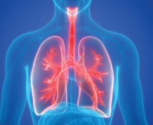 Lung Cancer Update