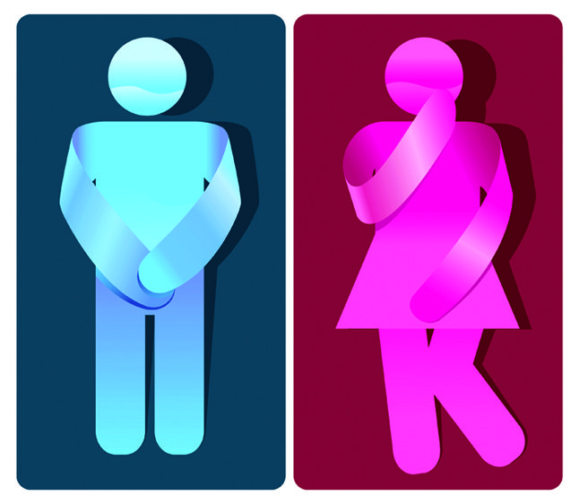 Need Restroom Do you Find Yourself Frequently Needing a Restroom Break? • Southwest ...