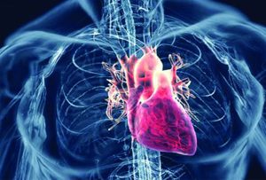 Knowing the Signs and  Symptoms of Heart Disease
