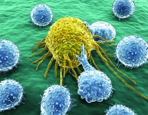 Immunotherapy Is Turning  The Tide Against Some Cancers
