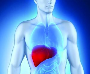 Metabolic/Bariatric Surgery Fights  Liver Disease Caused by Obesity