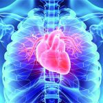 What You Need to Know About Heart Disease