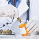 Medical Cannabis Alternative