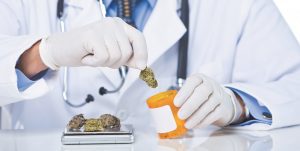 Medical Cannabis Alternative