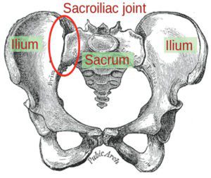 Sacroiliac (SI) Joint Dysfunction