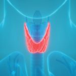 Thyroid Disorders Are Challenging to Diagnose: