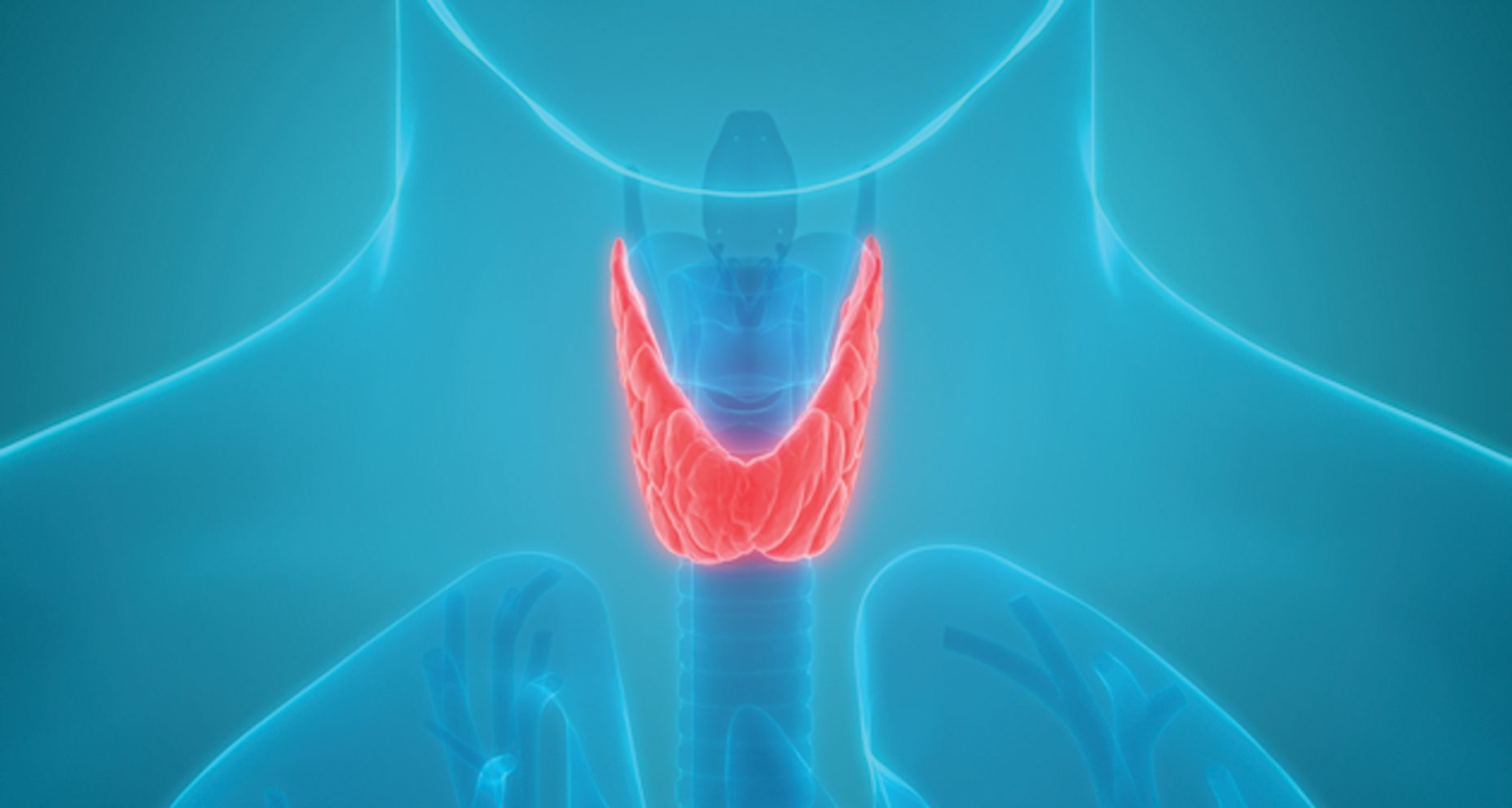 Thyroid Disorders Are Challenging to Diagnose: