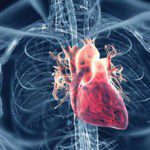 Knowing the Signs and Symptoms of Heart Disease