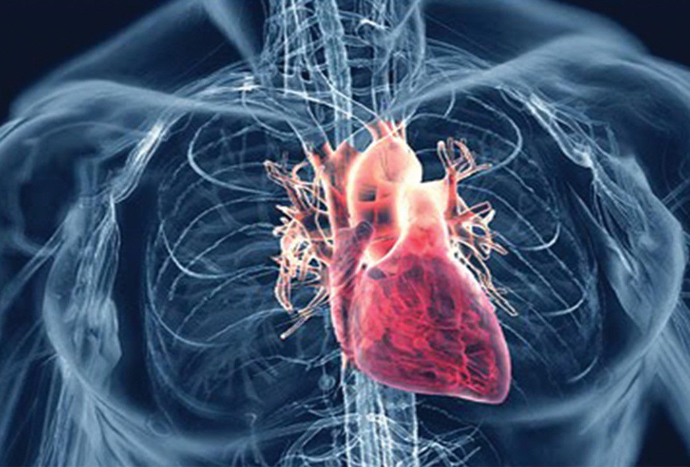 Knowing the Signs and Symptoms of Heart Disease