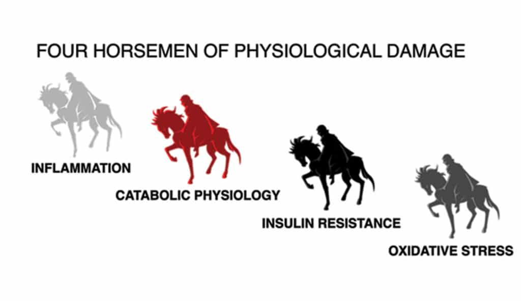 The Four Horsemen of Disease • Southwest Florida's Health and Wellness ...