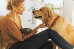 November is National Pet Wellness Month