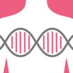 Understanding BRCA Genes