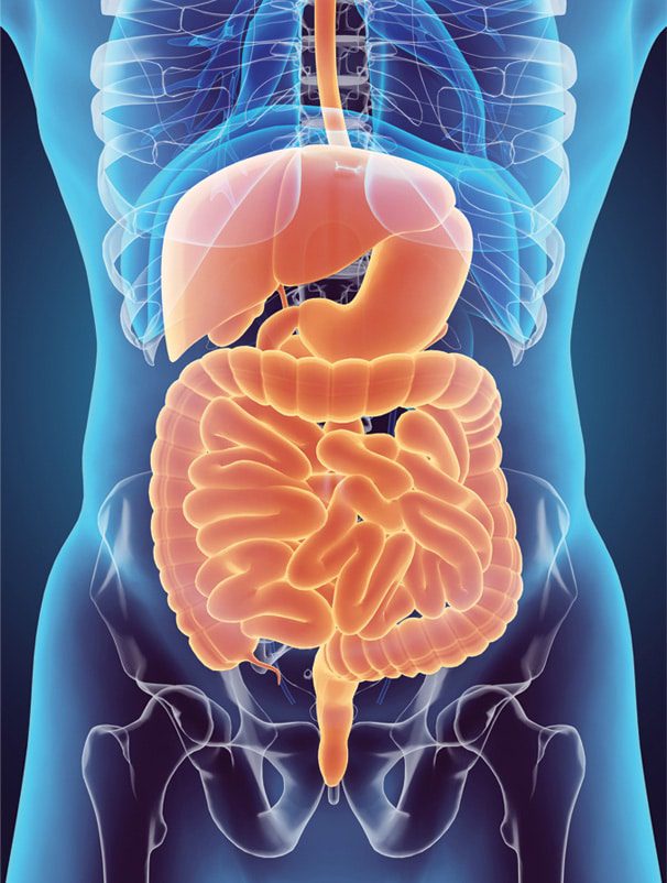 Digestive Problems? We have a whole team ready to help. • Southwest ...