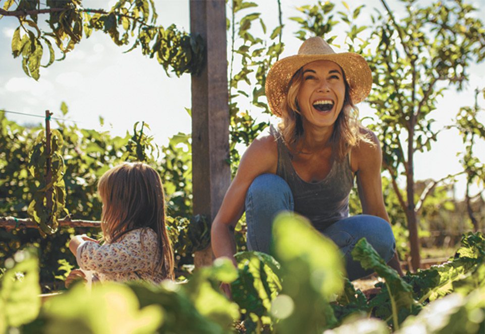 Mental Health Medications