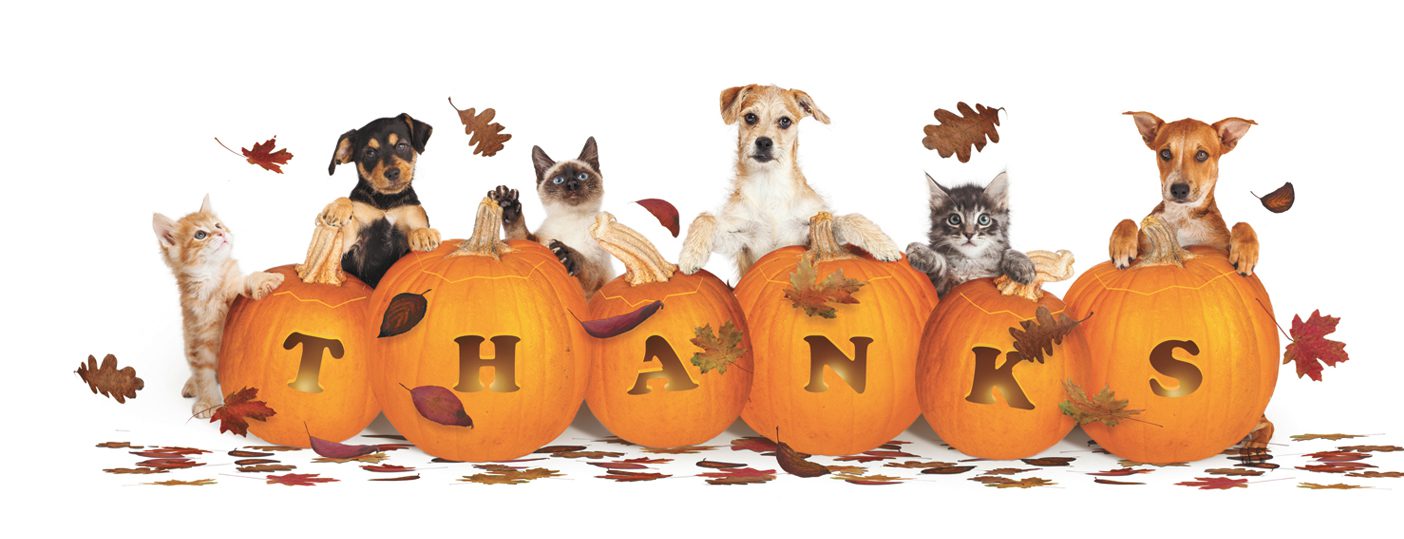 Thanksgiving