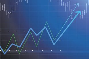 Two Investing Strategies