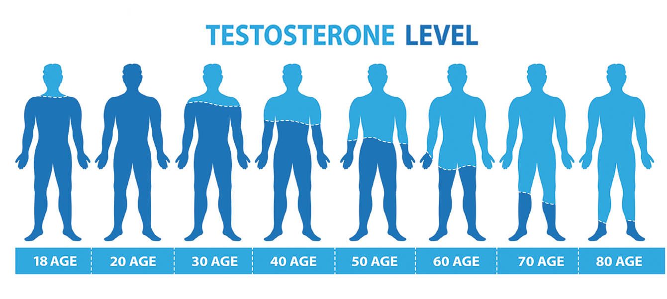 Testosterone