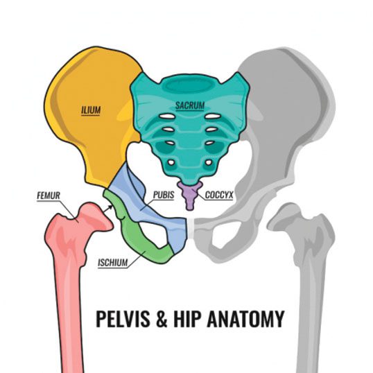 Hip Fractures