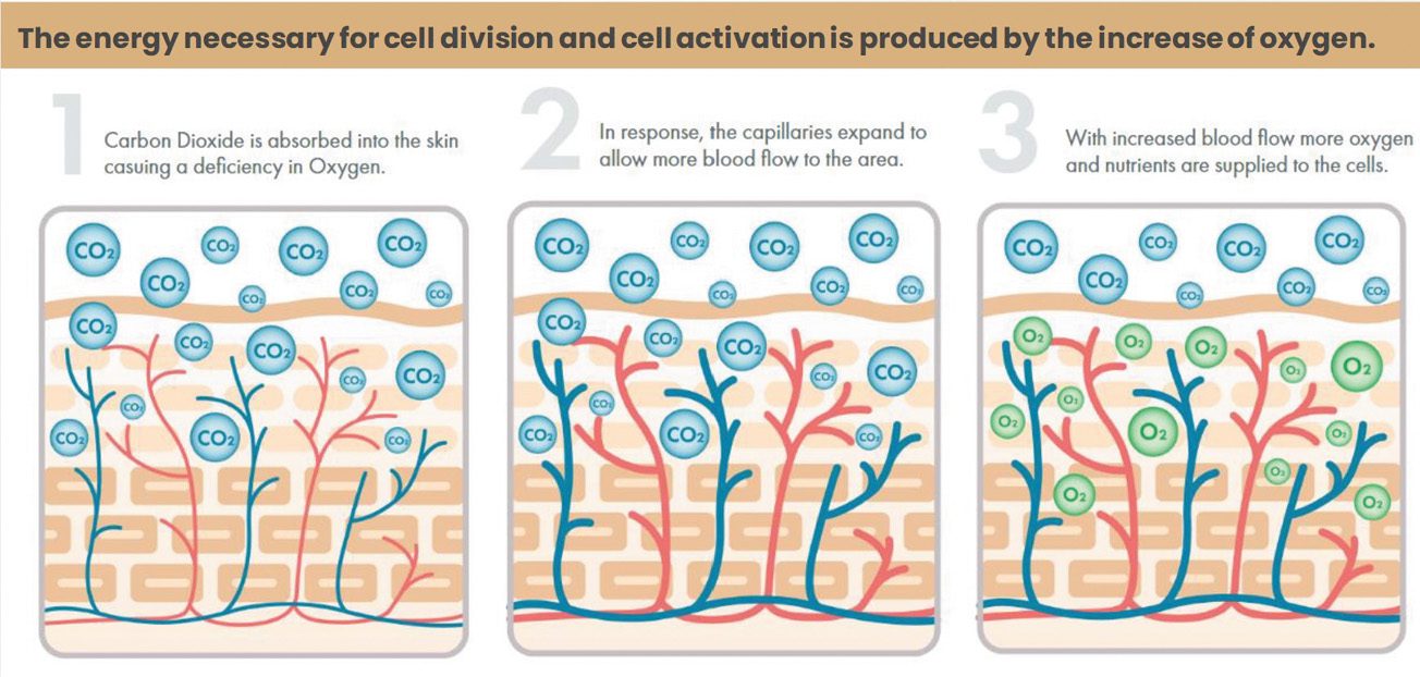 Regenerative Medicine