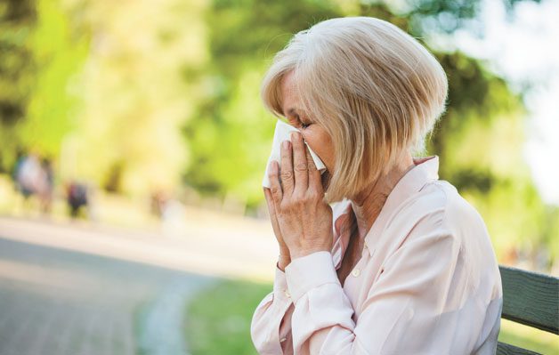Allergy Season