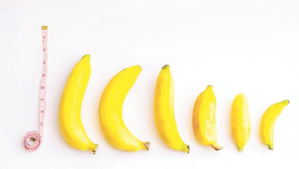 P-Long