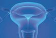 The Importance of Progesterone Replacement in Both Men and Women