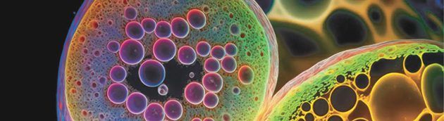 stem cell therapy