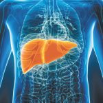 Liver Health