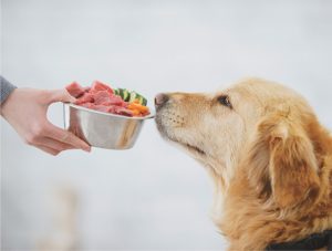 Nutrition for Pets