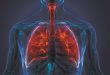 COPD and the Heart What You Need to Know