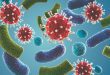 Understanding The Crucial Role of a Healthy Gut Microbiome