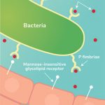 Recurrent UTIs