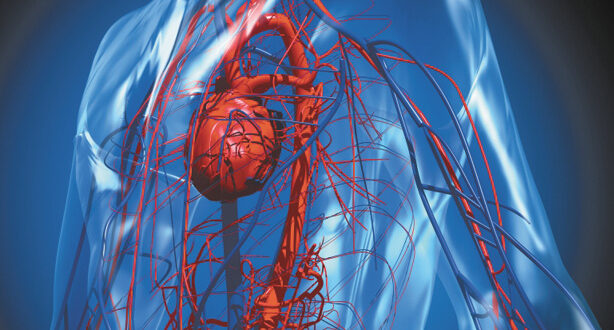 Cardiology 101: Take Charge of Your Heart Health