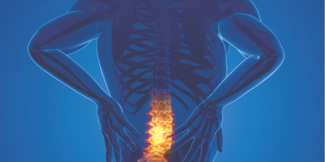 Protecting Your Spine: 5 Causes of Back Pain and What to Do About Them