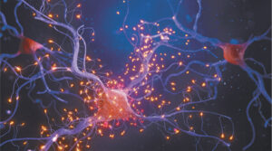 Peripheral Neuropathy