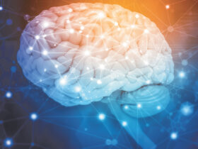 Alzheimer's & Brain