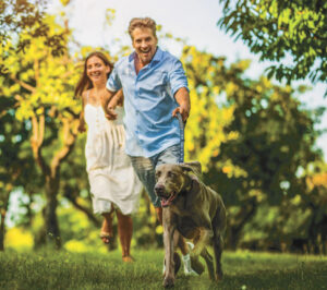 Pain-Free Walking 