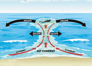 Summer Safety