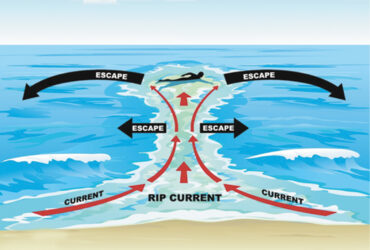 Summer Safety