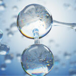 Immune Support