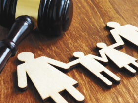 Florida House Bill 971
